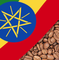 Najlepsze kawy z Etiopii w Cafe Silesia