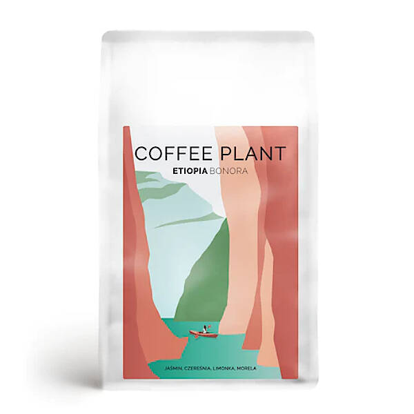 kawa ziarnista COFFEE PLANT Etiopia Bonora 250g