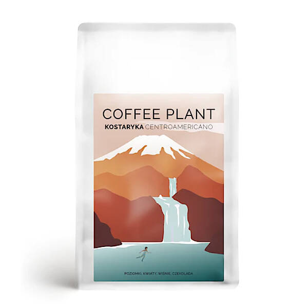 kawa ziarnista COFFEE PLANT Kostaryka Centroamericano 250g